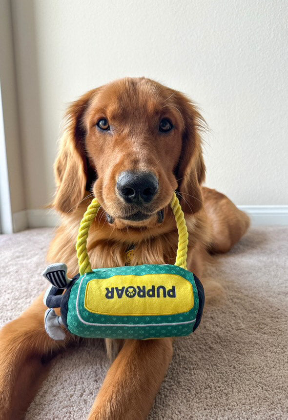 A golden retriever holding a toy in its mouth