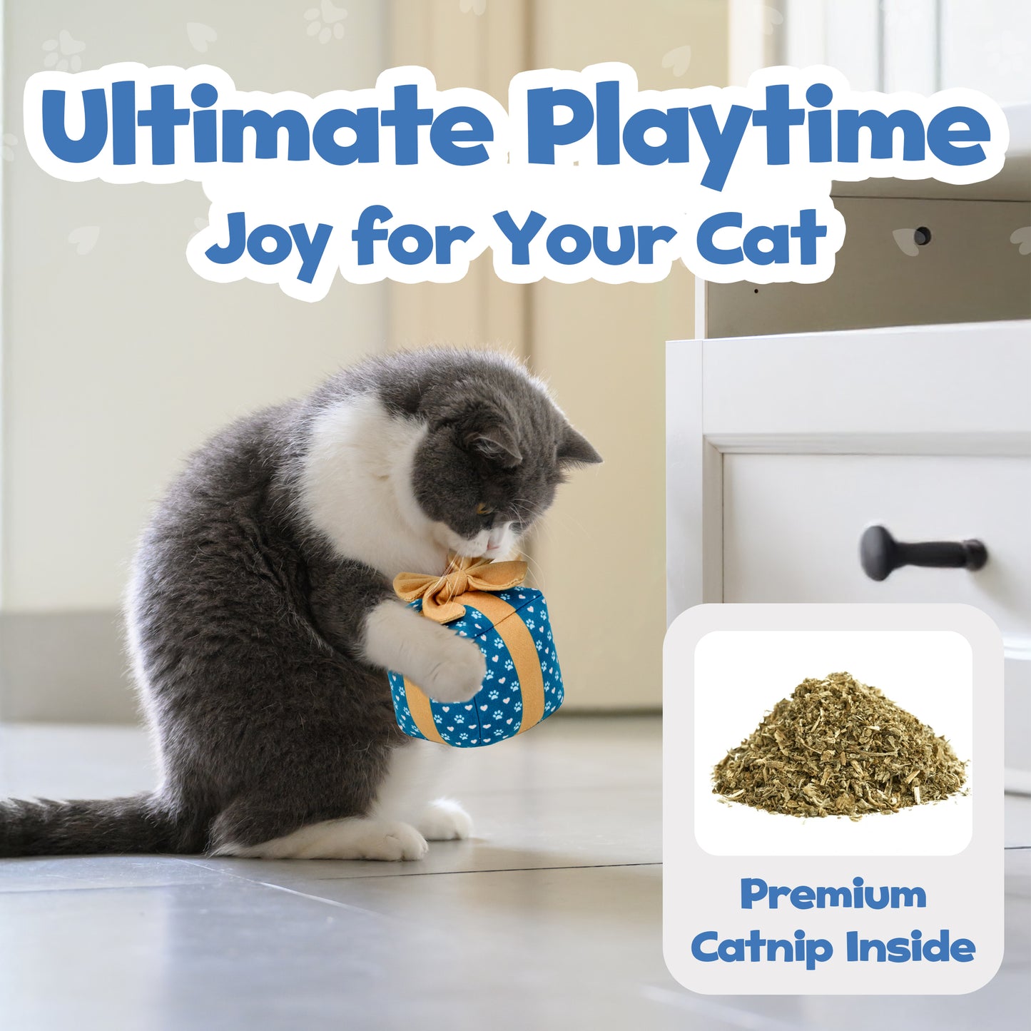 Cat Gift Box Catnip Toy – Crinkle Cat Toy for Indoor Cats, Cute Plush Birthday Present Kitty Toy with Catnip Inside
