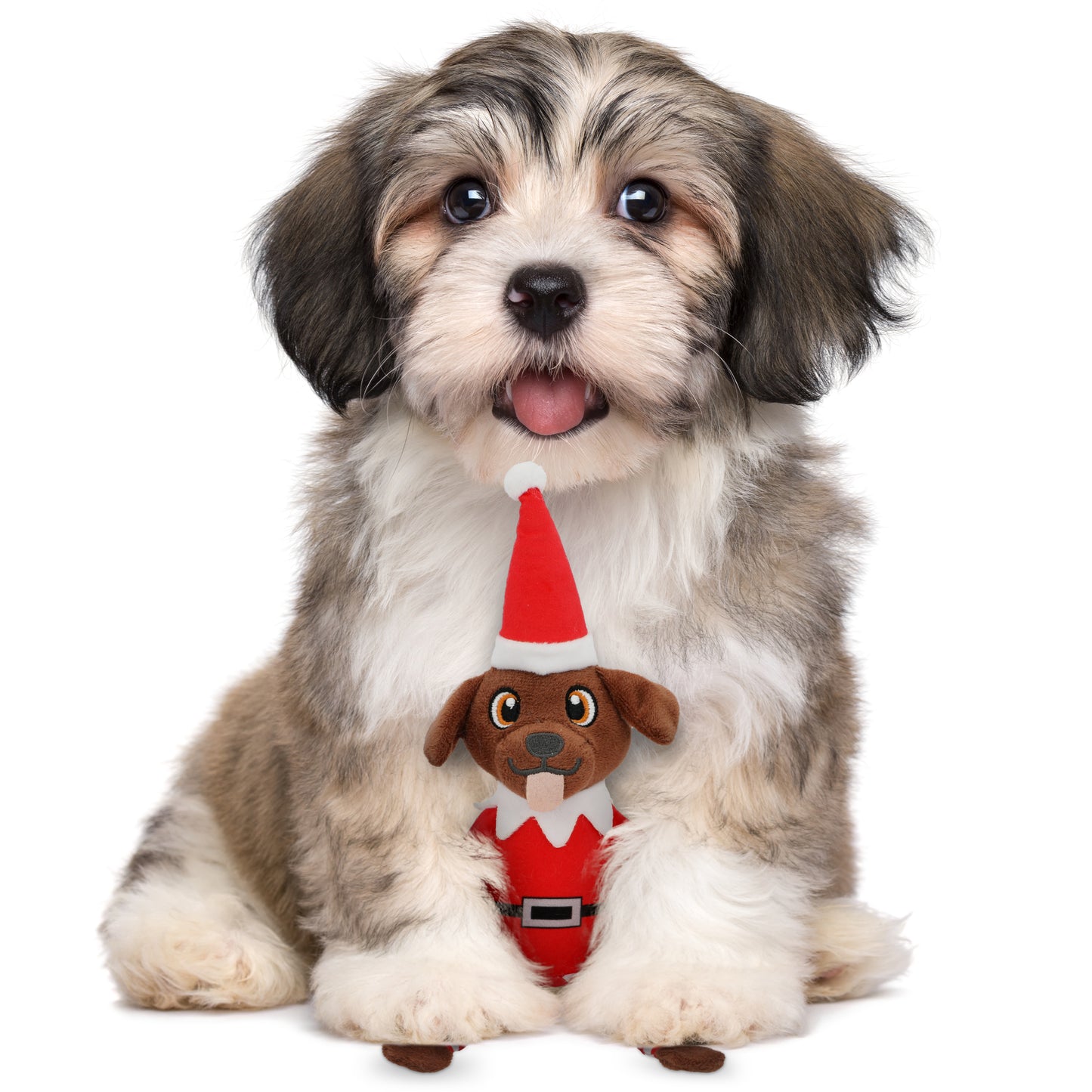Pooch on a Perch – Festive Elf Dog Toy with Squeaker & Crinkle Paper