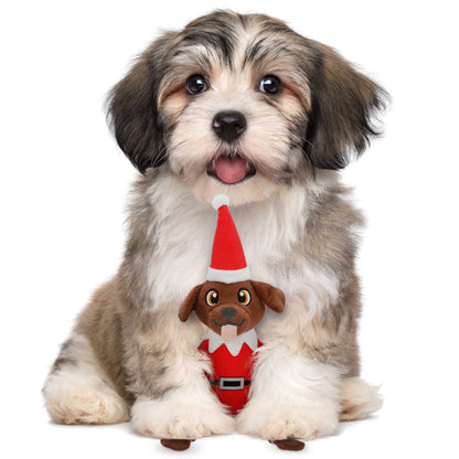 Pooch on a Perch – Festive Elf Dog Toy with Squeaker & Crinkle Paper