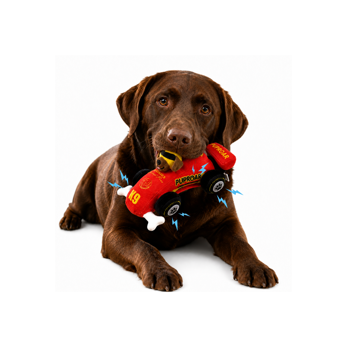 Puppy Prix Open Wheel Race Car
