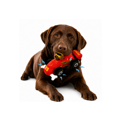 Puppy Prix Open Wheel Race Car