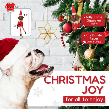 Pooch on a Perch – Festive Elf Dog Toy with Squeaker & Crinkle Paper