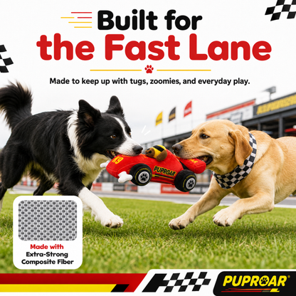 Puppy Prix Open Wheel Race Car