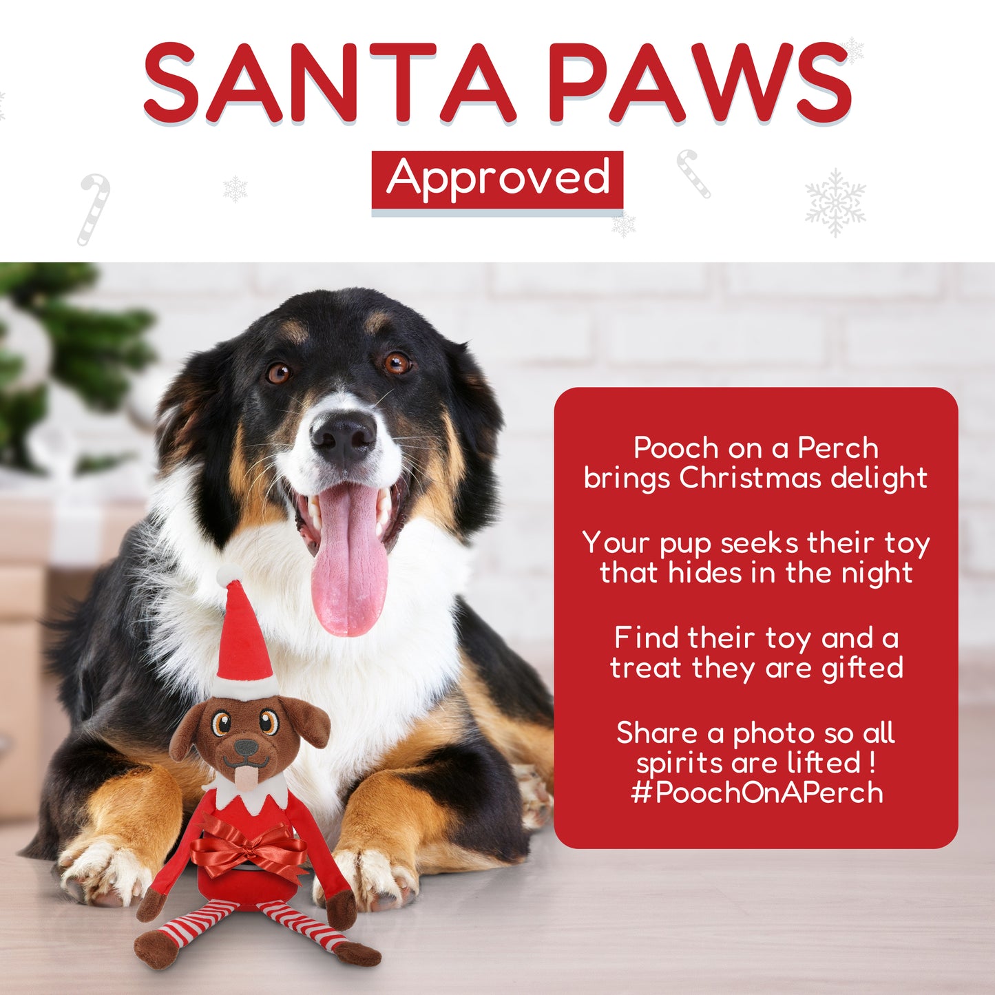 Pooch on a Perch – Festive Elf Dog Toy with Squeaker & Crinkle Paper