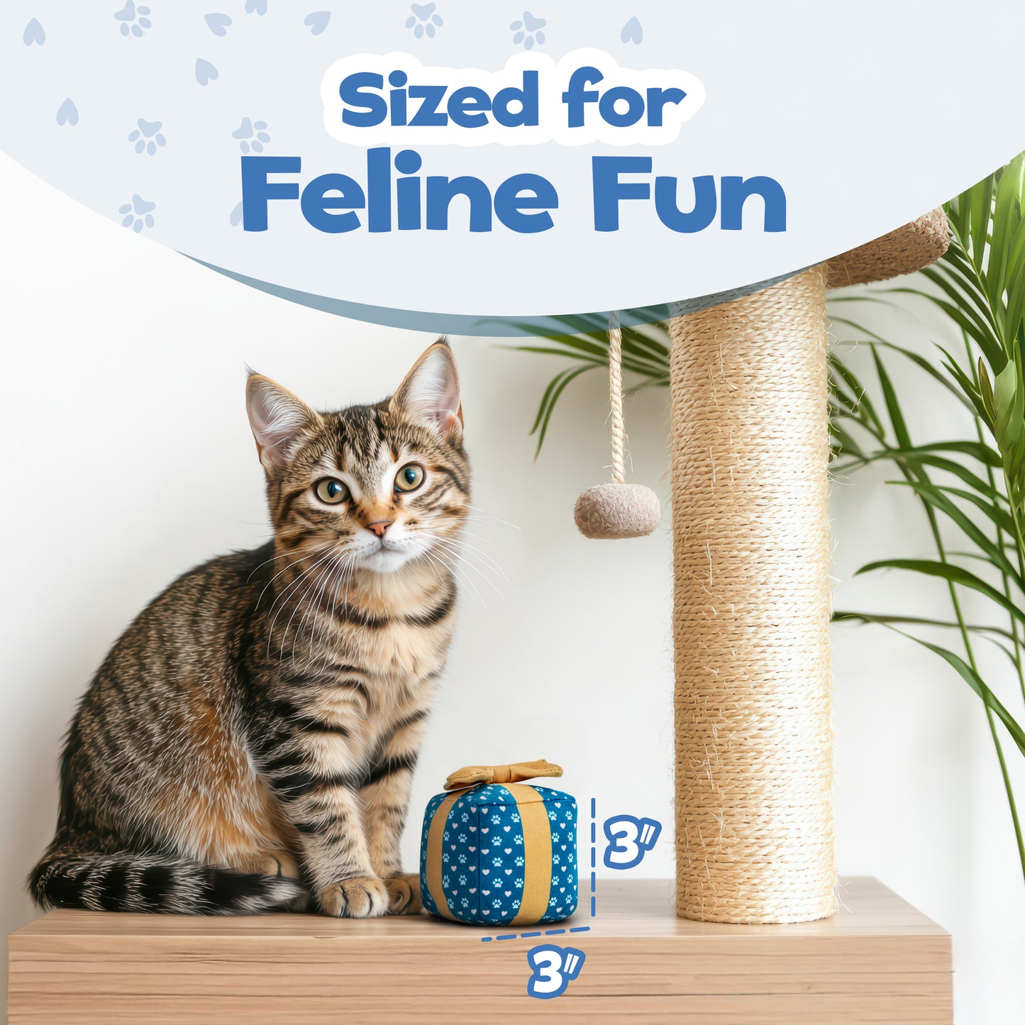 Cat Gift Box Catnip Toy – Crinkle Cat Toy for Indoor Cats, Cute Plush Birthday Present Kitty Toy with Catnip Inside