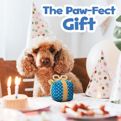 Gift Box Squeaky Dog Toy – Birthday Present Dog Toy with Crinkle Paper and Rope Bow, Durable & Plush for Tug of War and Chew Play