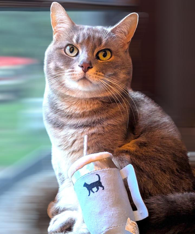 Kitty Cup Tumbler Cat Toy